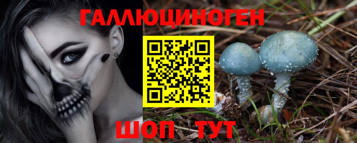 Псилоцибиновые грибы GOLDEN TEACHER Ртищево