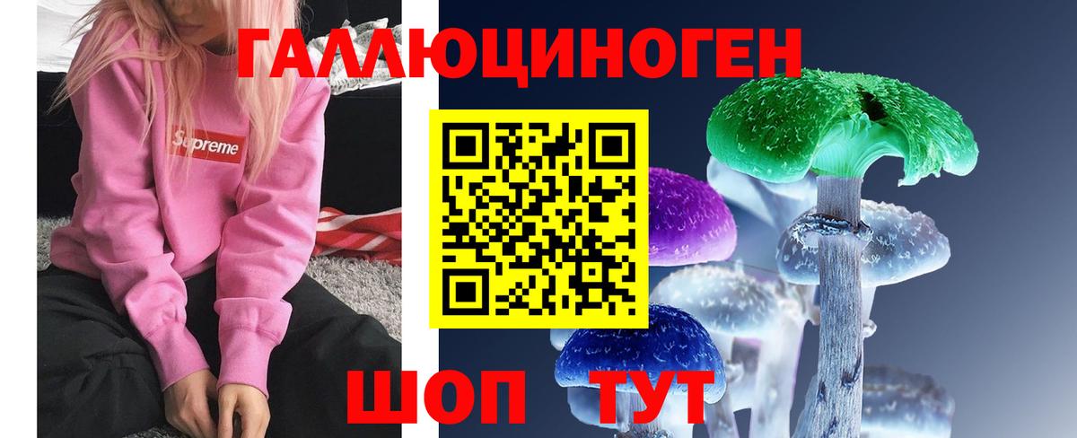 Ртищево  Галлюциногенные грибы Cubensis  Вход с VPN 
